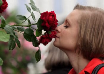 แพทย์เตือน! จมูกไม่ได้กลิ่นควรตรวจหาเชื้อ “โควิด-19”